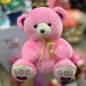 Teddy bear- surprises by steph